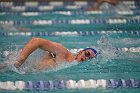 Swim vs Bentley  Wheaton College Swimming & Diving vs Bentley University. - Photo by Keith Nordstrom : Wheaton, Swimming & Diving